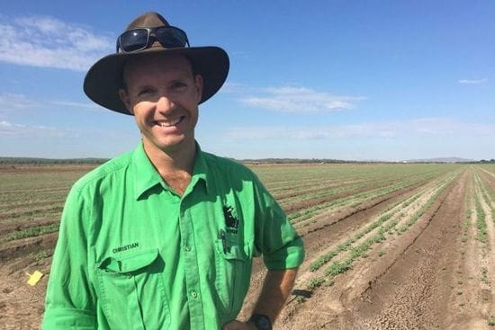 Quinoa boom in the Kimberley's Ord Irrigation Scheme
